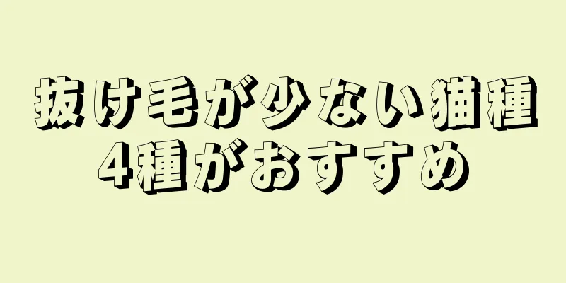 抜け毛が少ない猫種4種がおすすめ