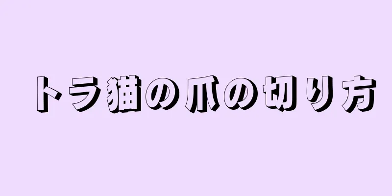 トラ猫の爪の切り方
