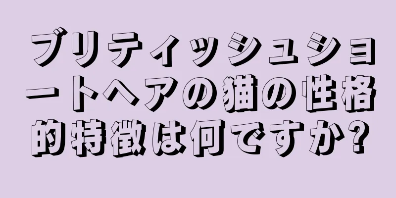 ブリティッシュショートヘアの猫の性格的特徴は何ですか?