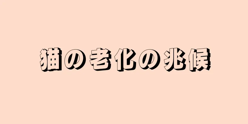 猫の老化の兆候