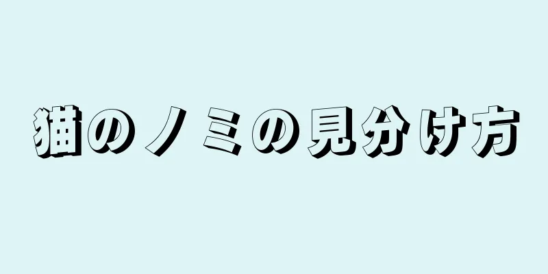 猫のノミの見分け方