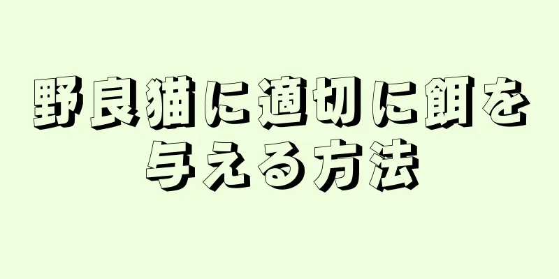 野良猫に適切に餌を与える方法