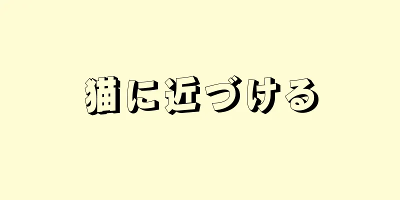 猫に近づける