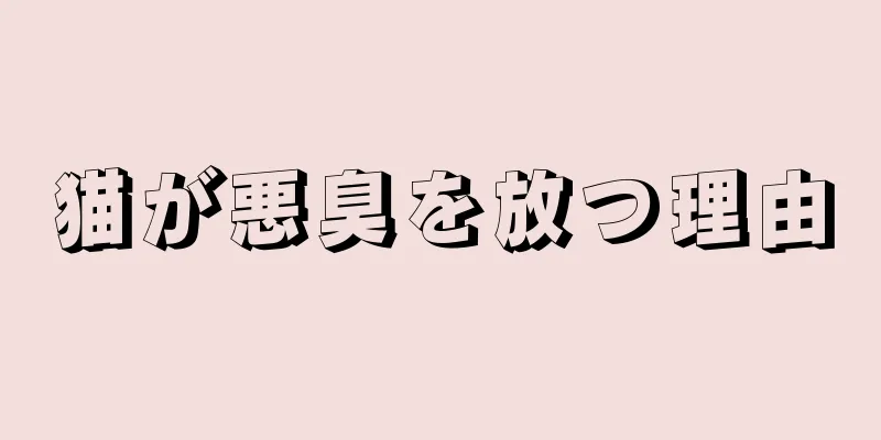 猫が悪臭を放つ理由