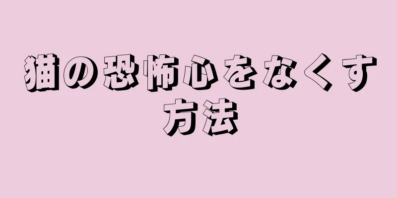 猫の恐怖心をなくす方法