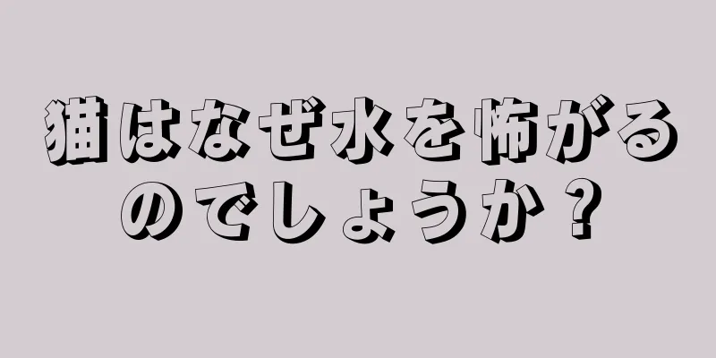 猫はなぜ水を怖がるのでしょうか？