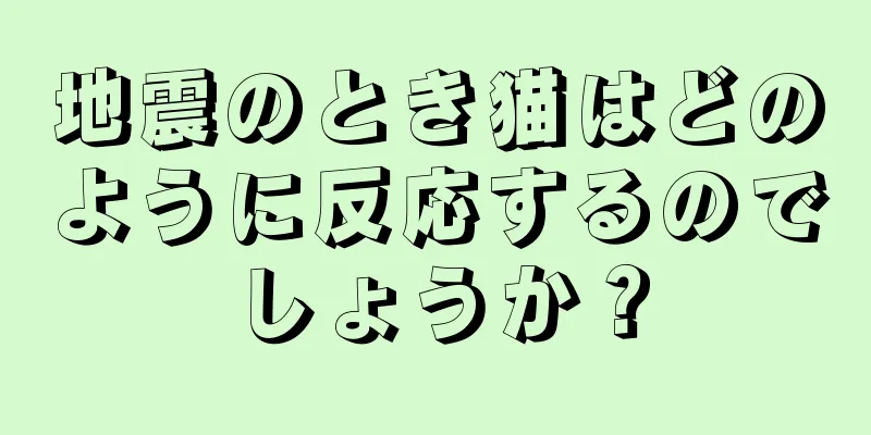 地震のとき猫はどのように反応するのでしょうか？