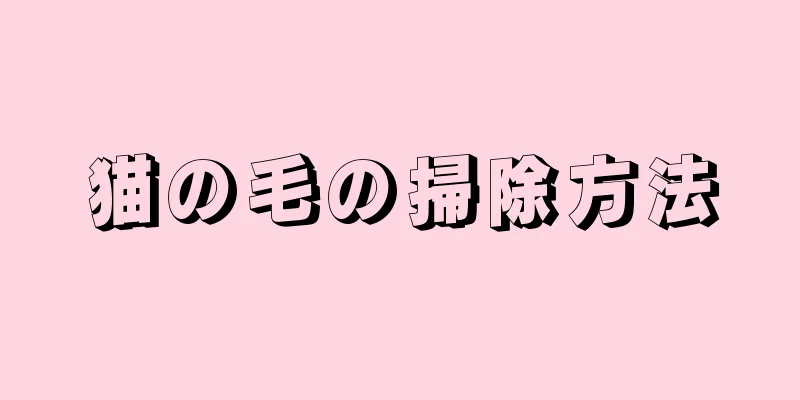 猫の毛の掃除方法