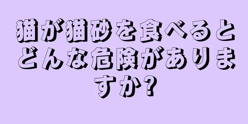 猫が猫砂を食べるとどんな危険がありますか?