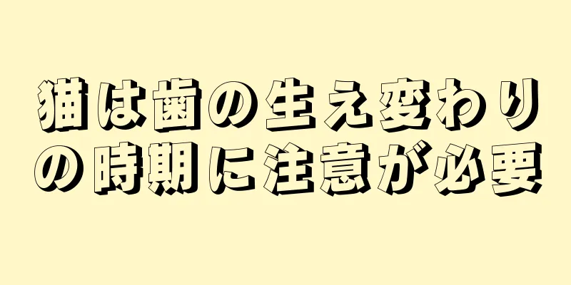 猫は歯の生え変わりの時期に注意が必要