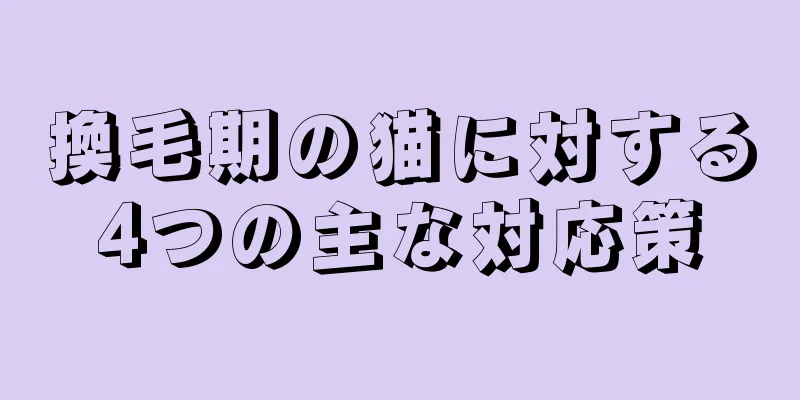 換毛期の猫に対する4つの主な対応策