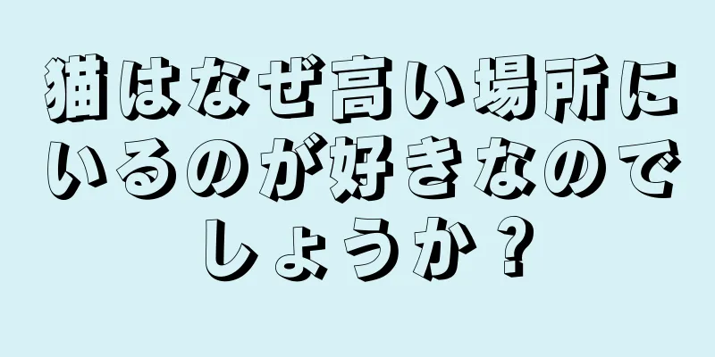 猫はなぜ高い場所にいるのが好きなのでしょうか？