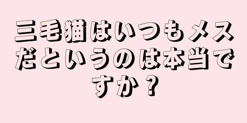 三毛猫はいつもメスだというのは本当ですか？