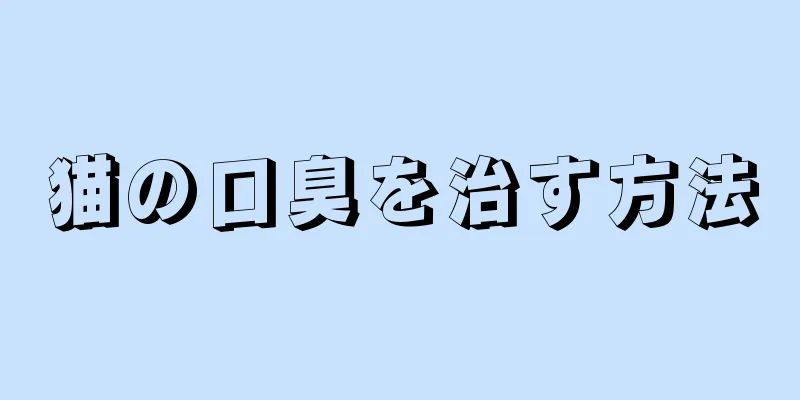 猫の口臭を治す方法