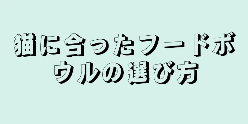 猫に合ったフードボウルの選び方