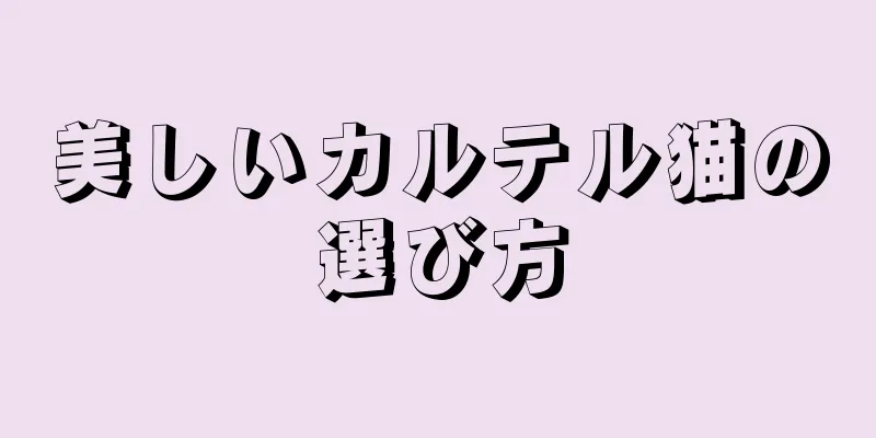 美しいカルテル猫の選び方