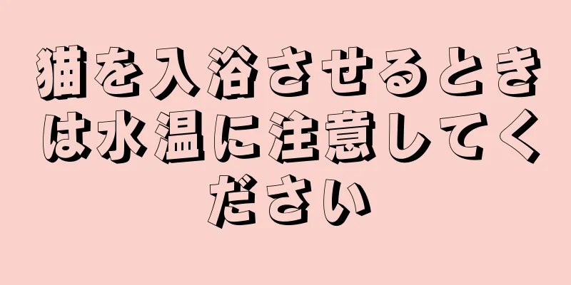 猫を入浴させるときは水温に注意してください