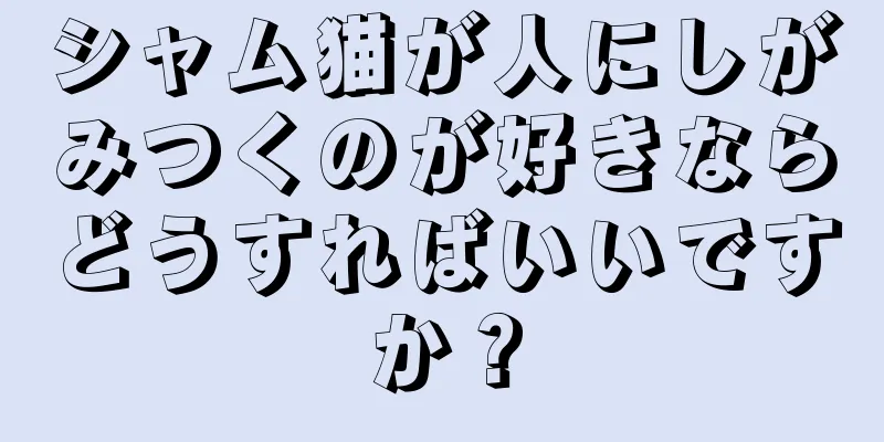 シャム猫が人にしがみつくのが好きならどうすればいいですか？