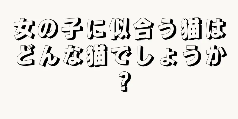 女の子に似合う猫はどんな猫でしょうか？