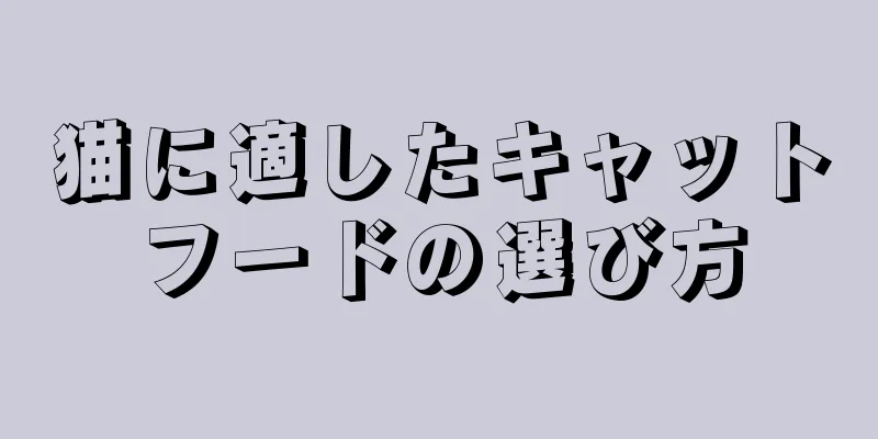 猫に適したキャットフードの選び方