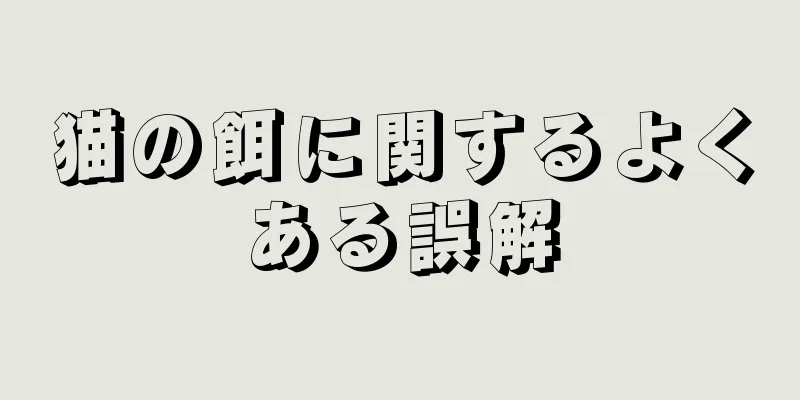 猫の餌に関するよくある誤解