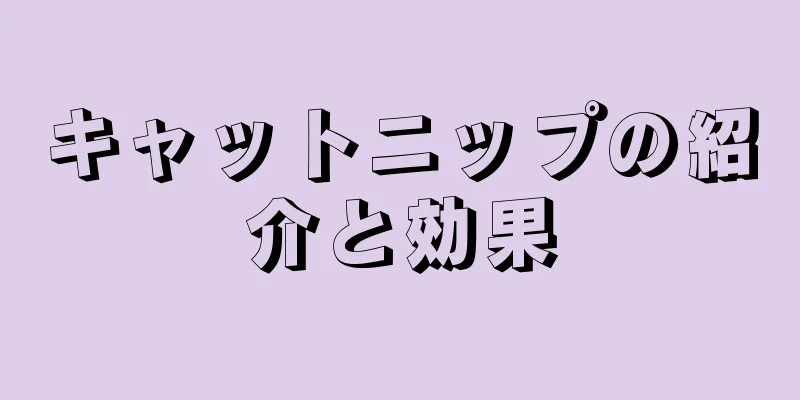キャットニップの紹介と効果
