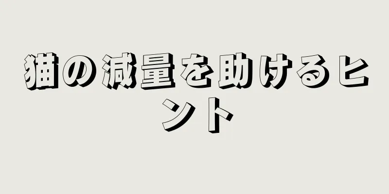 猫の減量を助けるヒント