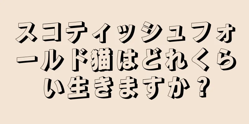 スコティッシュフォールド猫はどれくらい生きますか？
