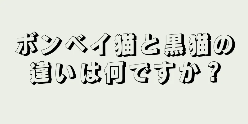 ボンベイ猫と黒猫の違いは何ですか？