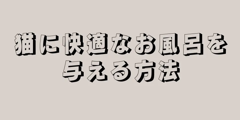 猫に快適なお風呂を与える方法