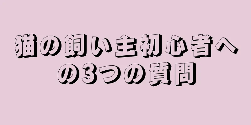猫の飼い主初心者への3つの質問
