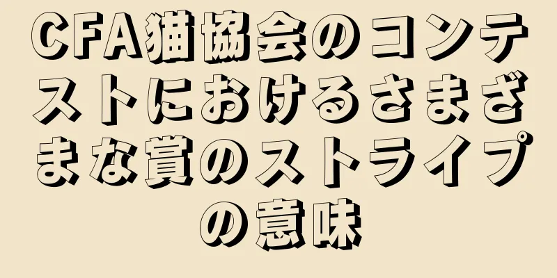 CFA猫協会のコンテストにおけるさまざまな賞のストライプの意味
