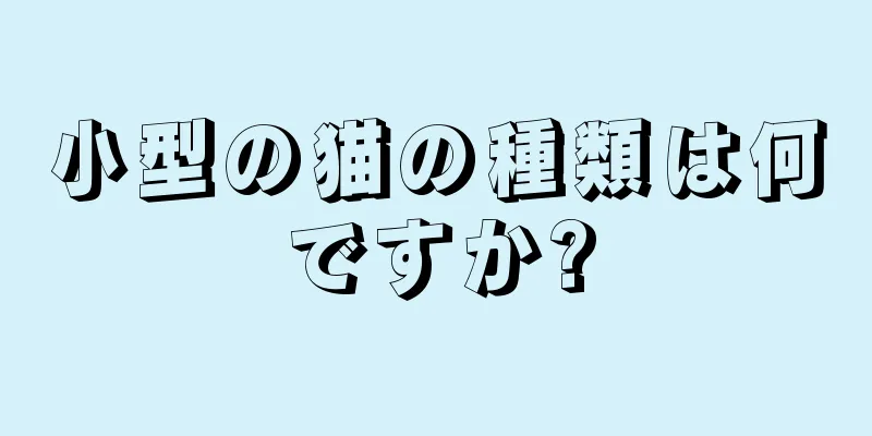 小型の猫の種類は何ですか?