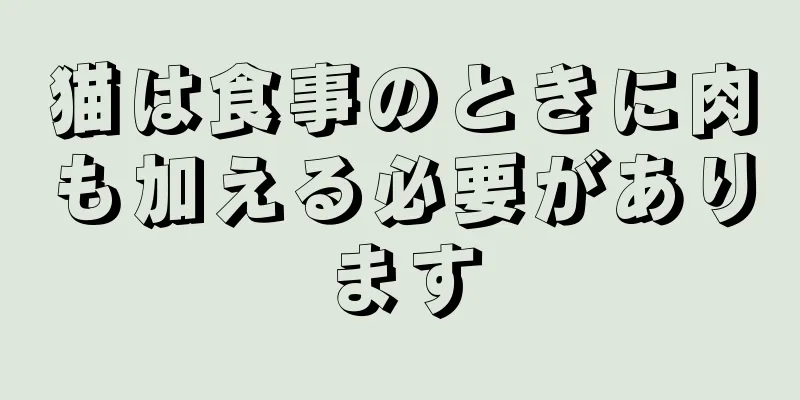 猫は食事のときに肉も加える必要があります