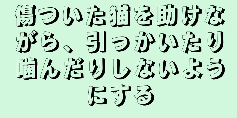 傷ついた猫を助けながら、引っかいたり噛んだりしないようにする