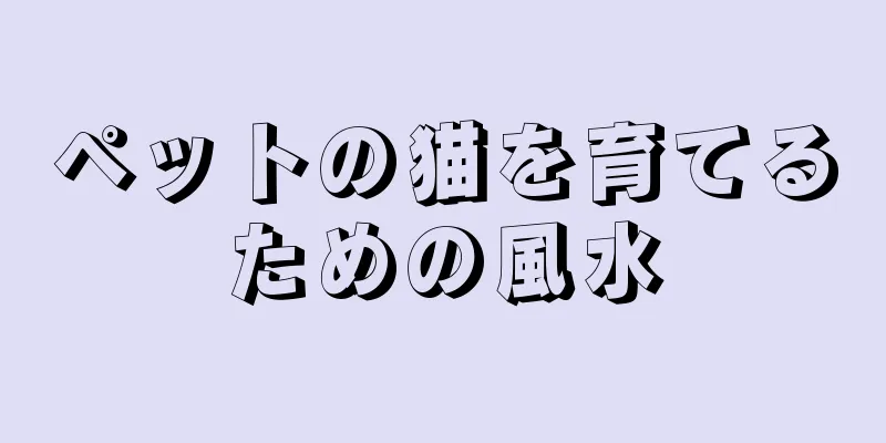 ペットの猫を育てるための風水