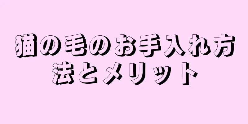 猫の毛のお手入れ方法とメリット
