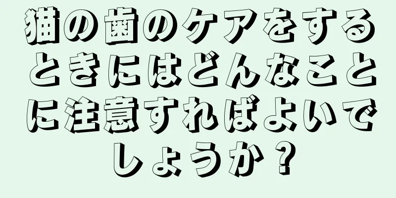 猫の歯のケアをするときにはどんなことに注意すればよいでしょうか？