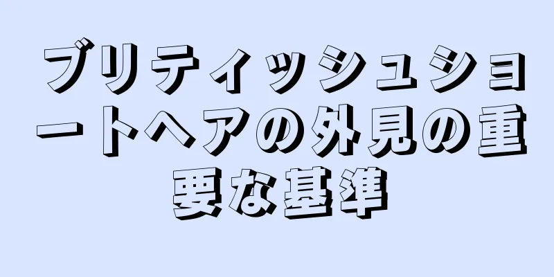 ブリティッシュショートヘアの外見の重要な基準