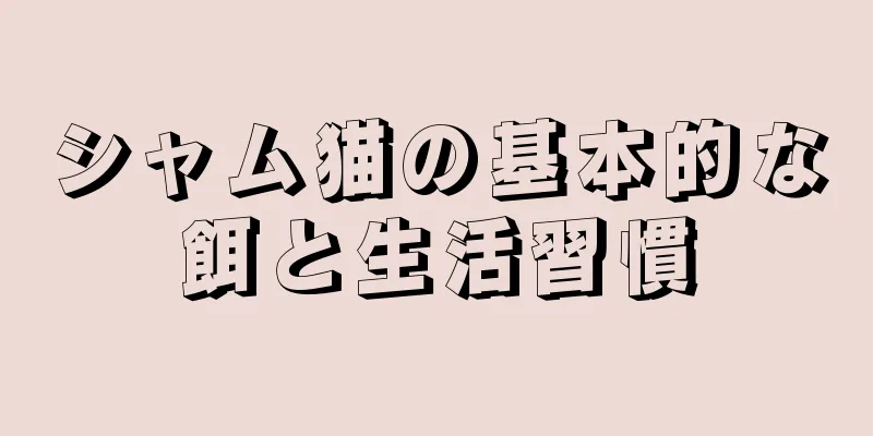 シャム猫の基本的な餌と生活習慣