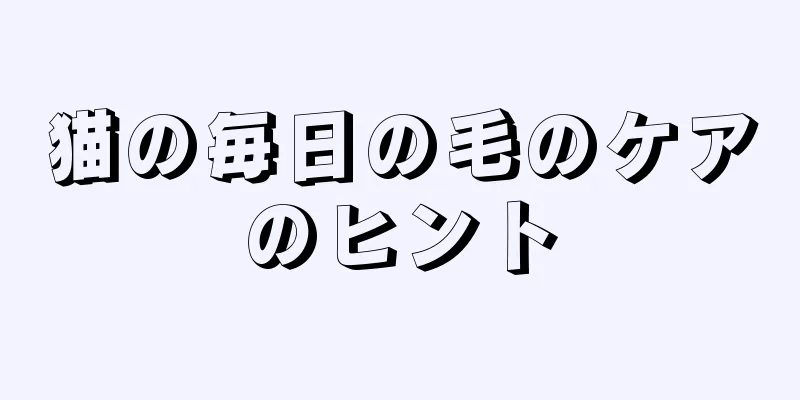 猫の毎日の毛のケアのヒント