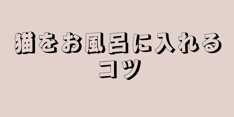 猫をお風呂に入れるコツ
