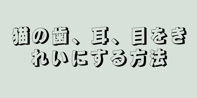 猫の歯、耳、目をきれいにする方法