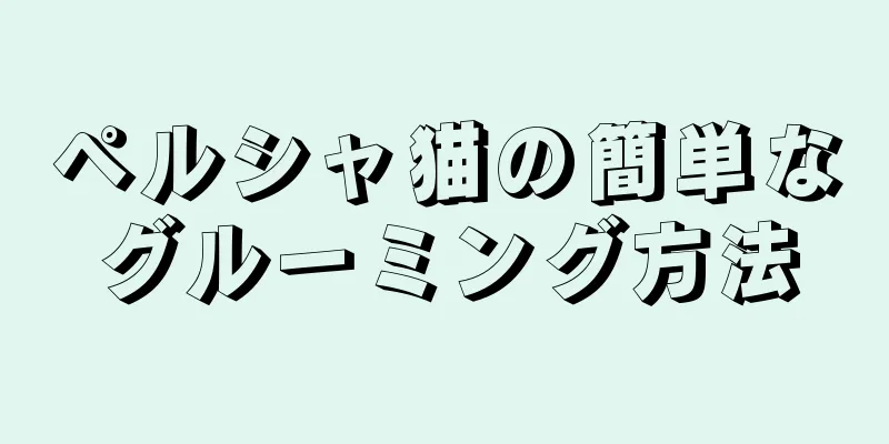 ペルシャ猫の簡単なグルーミング方法