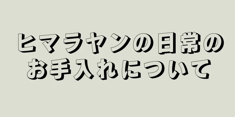 ヒマラヤンの日常のお手入れについて