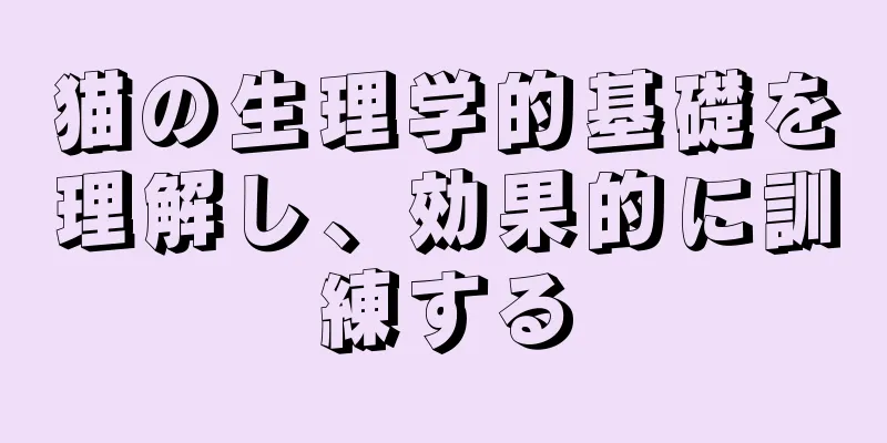 猫の生理学的基礎を理解し、効果的に訓練する