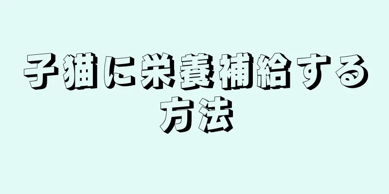子猫に栄養補給する方法