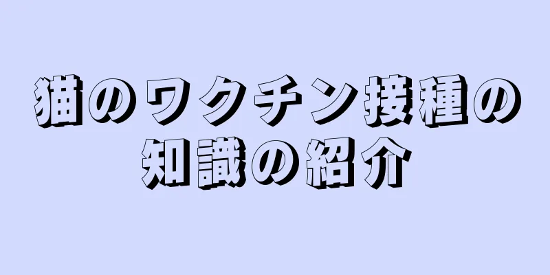 猫のワクチン接種の知識の紹介