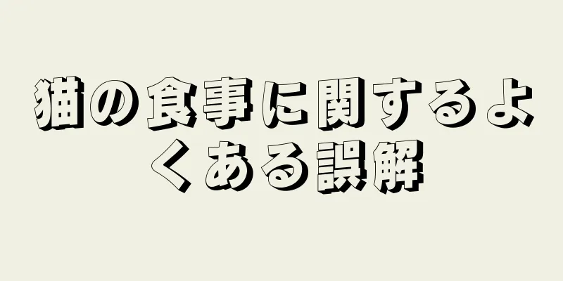 猫の食事に関するよくある誤解