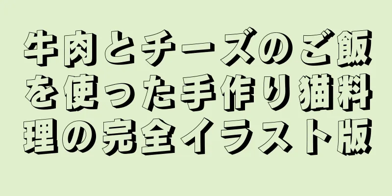 牛肉とチーズのご飯を使った手作り猫料理の完全イラスト版